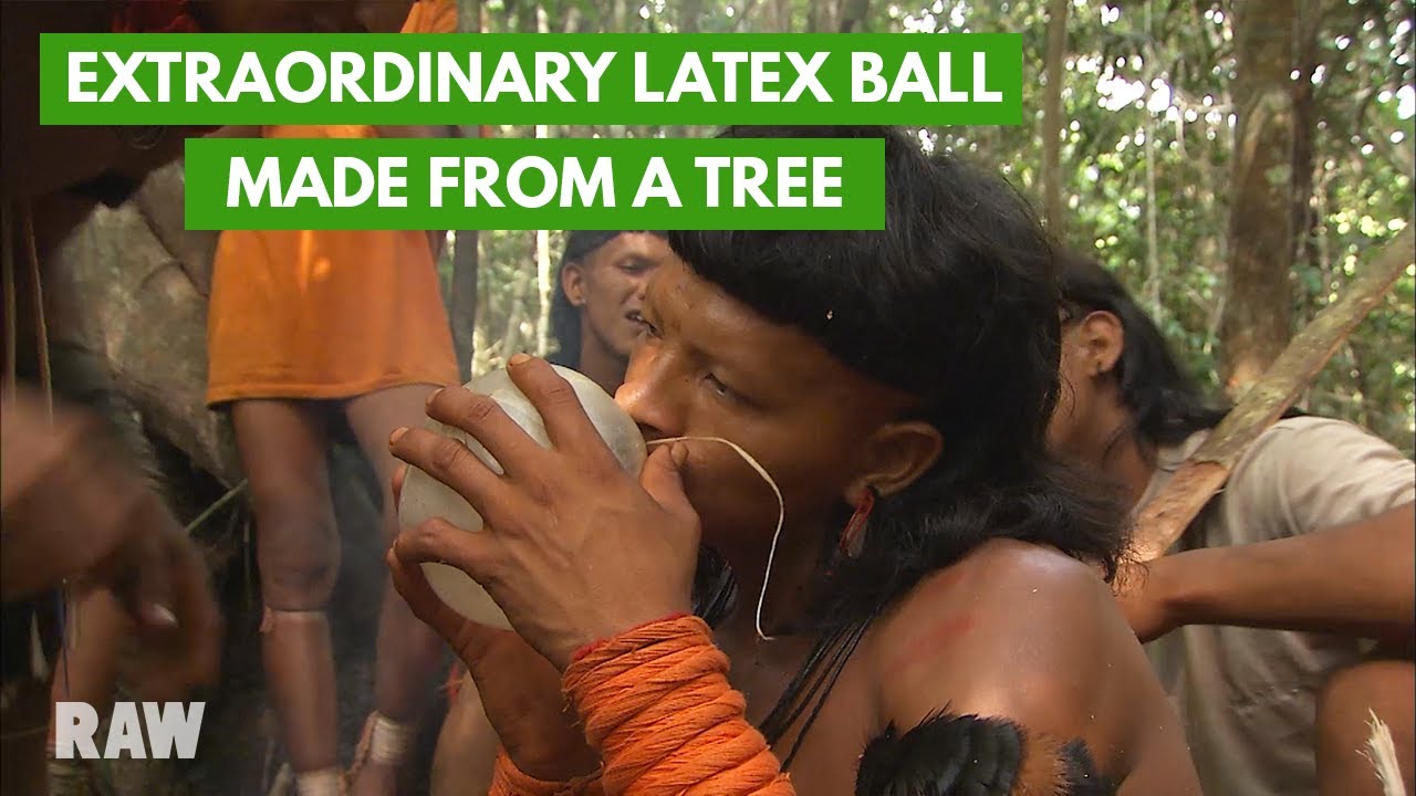 Documentary backdrop image for Crafting a rubber latex ball from tree sap (2022)