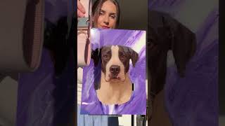 🔗 On my page for info on how to order your own portrait! #petloss #petportrait #art #animalart #pet