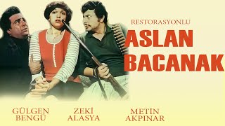 Aslan Bacanak Türk Filmi Full Zeki̇ Alasya Meti̇n Akpinar