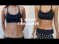 abs in 2 weeks? i tried chloe ting's shred challenge and im *shook*