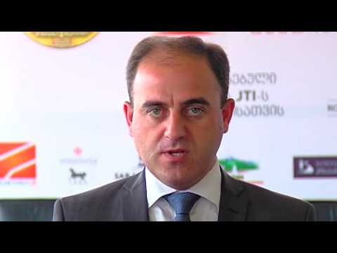 თბილისის მერია სამარშრუტო მიკროავტობუსების მონიტორინგს განაგრძობს