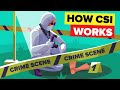 How does real life csi actually solve murders