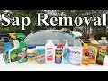 The BEST Tree Sap Removal Product for your Car is?