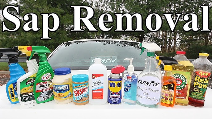 Ask DI: How to Remove Sap from Car – Ask a Pro Blog