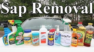 The BEST Tree Sap Removal Product for your Car is?