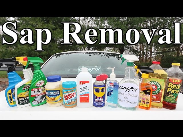 The BEST Tree Sap Removal Product for your Car is? 