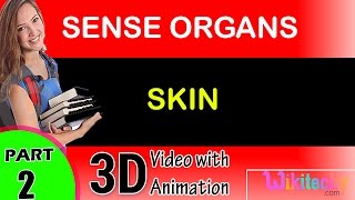 Skin Sense Organs class 12 11 10 9 8 7 6 cbse neet exam tips preparation lectures videos screenshot 4