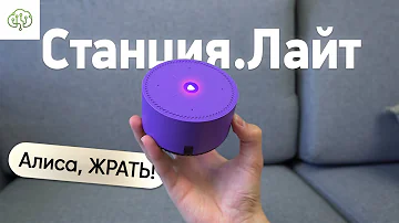 Что можно делать с Яндекс станцией лайт