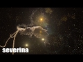 SEVERINA - HUREM (OFFICIAL VIDEO HD)