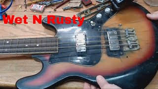 ベース DeliciousTaylormade SnakeHeadzNeo Bass Amazon.com: TARIO 5 String Electric Bass Guitar Linden wood