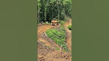 D6R XL Bulldozer in Difficult Oil Palm Plantation Terrain