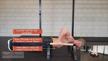 Deep Regular Push Up on Parallettes - Intermediate