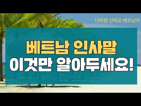 신짜오 베트남어 베트남어 배우기 베트남어 인사말 이것만 알아두세요 