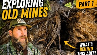 Exploring an Abandoned Gold Mine With a Dangerous Adit