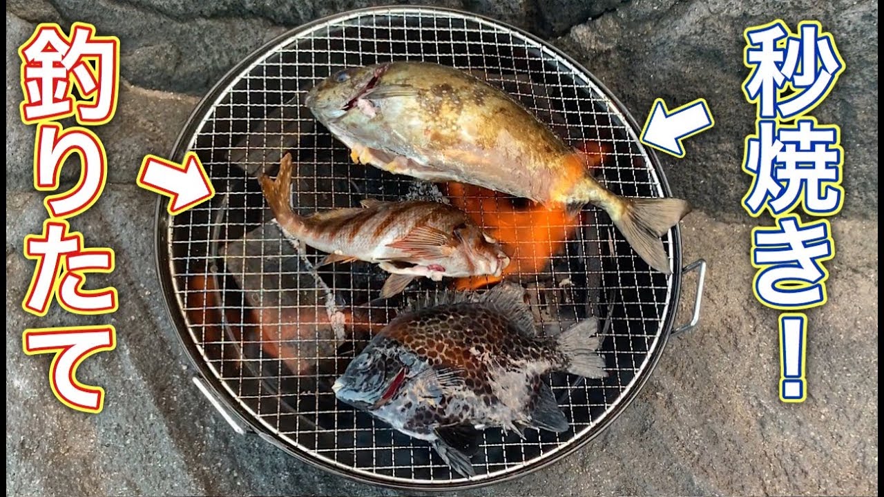 キャンプ飯 釣った魚をその場で炭焼肉 野外料理 磯釣り 石垣鯛 飯テロ Youtube