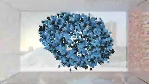 Bettersize BeVision D2