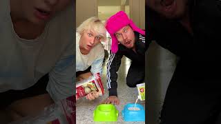 Thumbnail for 😱СНЯЛ СУПЕР КОТА НА КАМЕРУ⁉