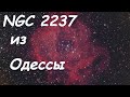 NGC 2237 Розетка из Одессы