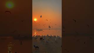 Banaras Varanasi Status Kashi Status