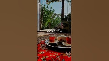 تلاوة نادرة للشيخ المنشاوي 🤎📻#قرآن #قران_كريم #لايك #اكسبلور #ترند