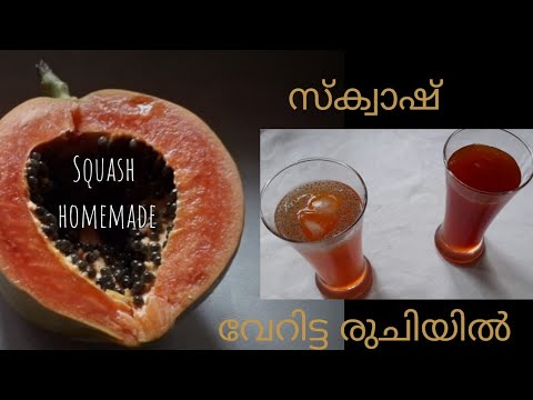 papaya-squash-homemade/pappaya-juice/tactic-recipes