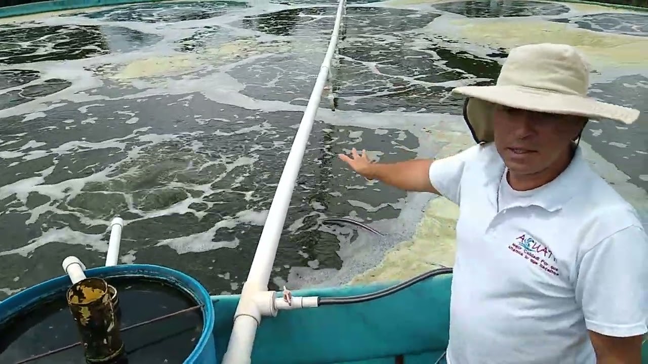 Uso del sedimentador