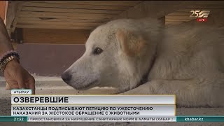 Против жестокого обращения с животными выступают казахстанцы