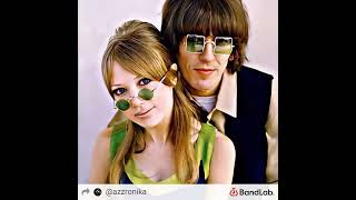 Girl For Me - Neil Sedaka - Cover