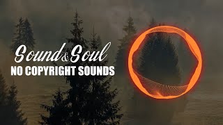 Robin Hustin & Jessica Chertock - Burn It Down Ncs Release