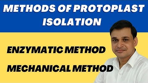 Methods for isolation of protoplast (Mechanical and Enzymatic) | Plant Biotechnology