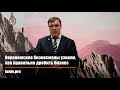 Воронежские бизнесмены узнали, как правильно дробить бизнес