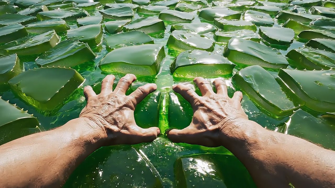 Which Crazy Aloe Vera Ocean Would You Dive Into? ✨ | Satisfying AI ASMR