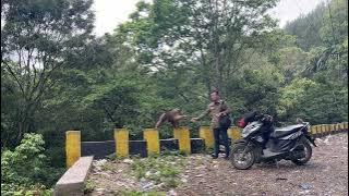 BERUK TUNGGAL BERBADAN KEKAR..