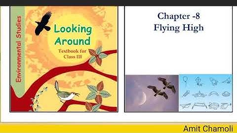 Class 3 EVS Chapter 8 Flying High