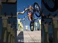 52 years old Wheelie Master