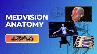 MedVision Anatomy. 3D Interactive Anatomy Table