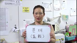 今日の一言韓国語430「盆栽」 - YouTube