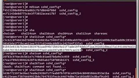 Using File Hashes/Checksums to Compare Files on Linux