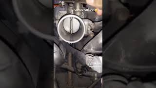 Çikop Çikop Cannn Cannn