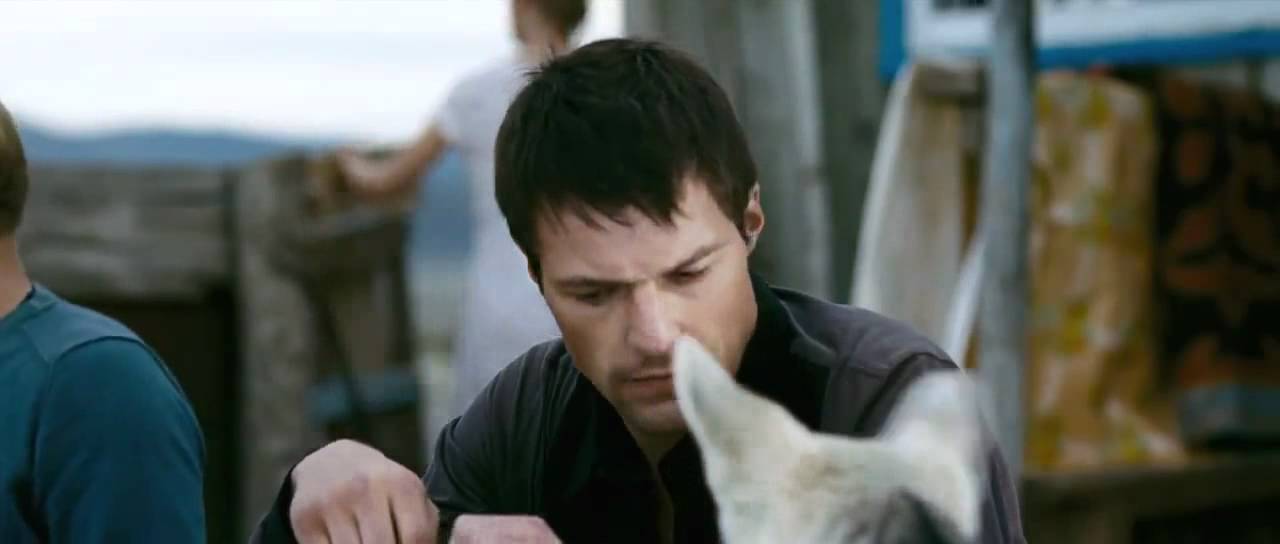 Мишень new2011