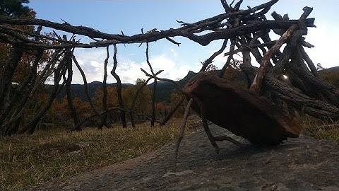 How to build the Two Stick Deadfall Trap