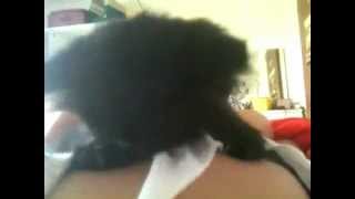 Baby Kitten Sucks Human Breast Baby Kitten Sucks Human Breast