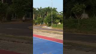 Government Guest Houseameneties Greenary