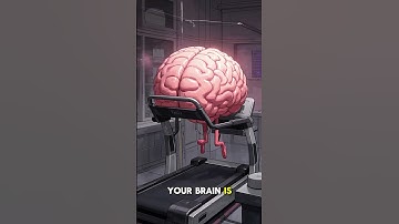 Why Do We Dream? | The Science Behind Your Nightly Mind Movies