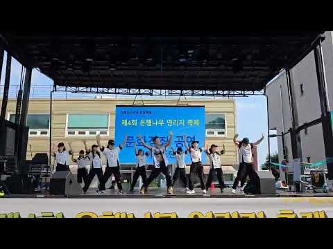 은행나무 연리지 축제 8월23일