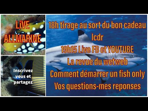 Live du jeudi soir 20 juin 2019, le sujet Wet web news et comment démarrer un Fish only ,