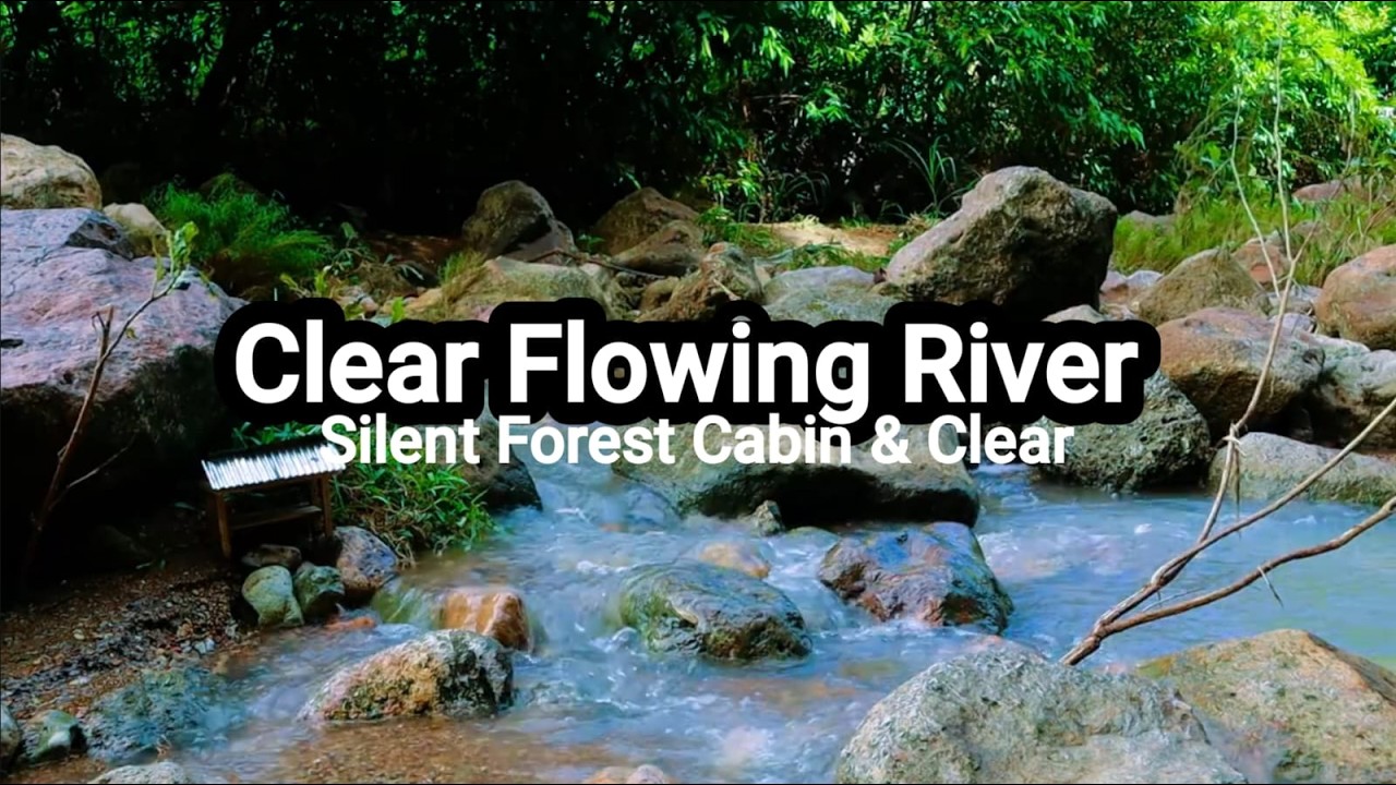 Silent Forest Cabin & Clear Flowing River