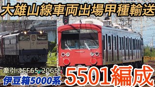 【赤色に塗装変更⁉︎】EF65-2065牽引！伊豆箱根鉄道5000系5501編成大場工場出場甲種輸送(9862レ) 国府津通過シーン