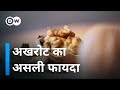 अखरोट खाने का ये है फायदा [How healthy are nuts?]