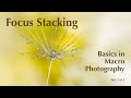 Focus Stacking in Macro Photography